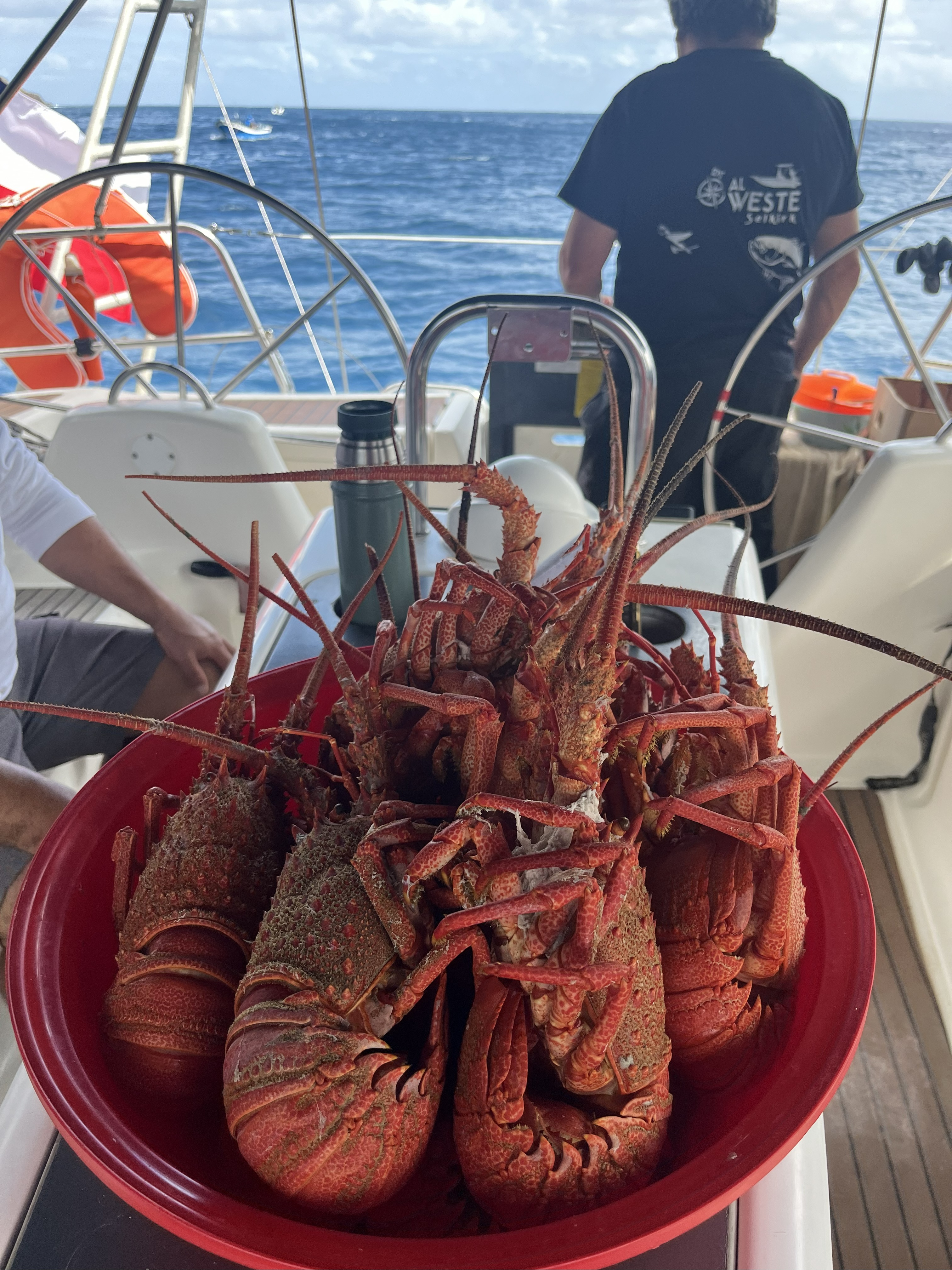 Galería Vegvisir Sailing