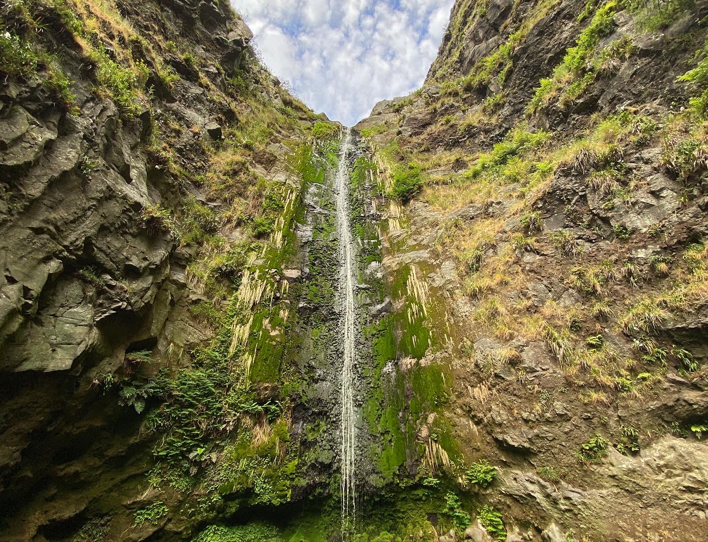 Galería Vegvisir Sailing
