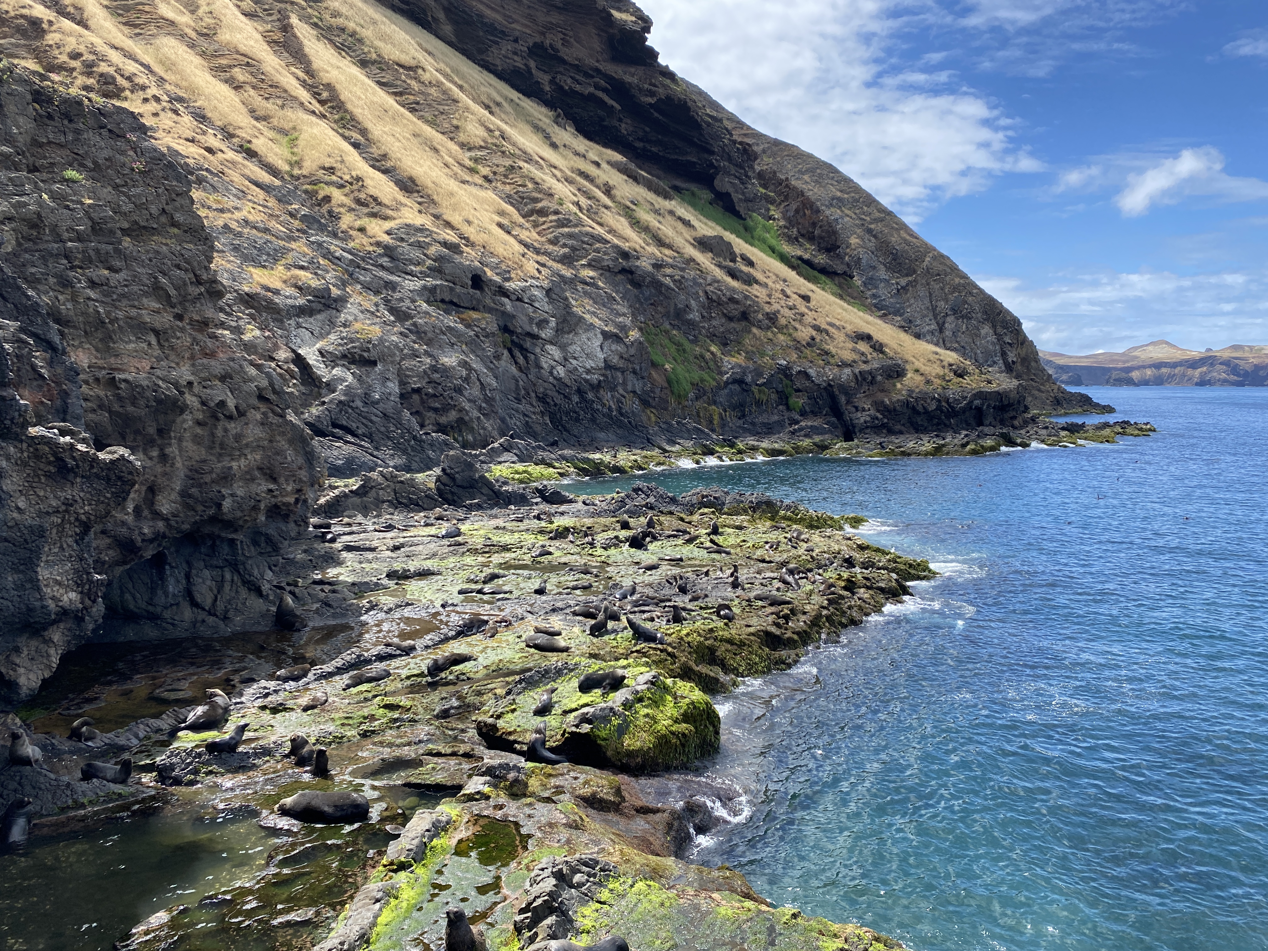 Galería Vegvisir Sailing